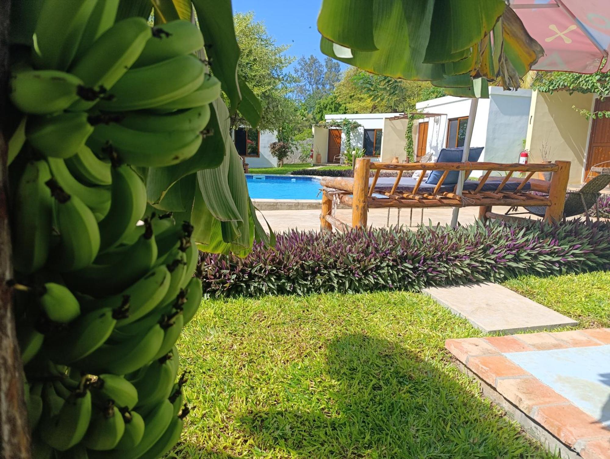 Telvina Beach Lodge Vilankulo Buitenkant foto